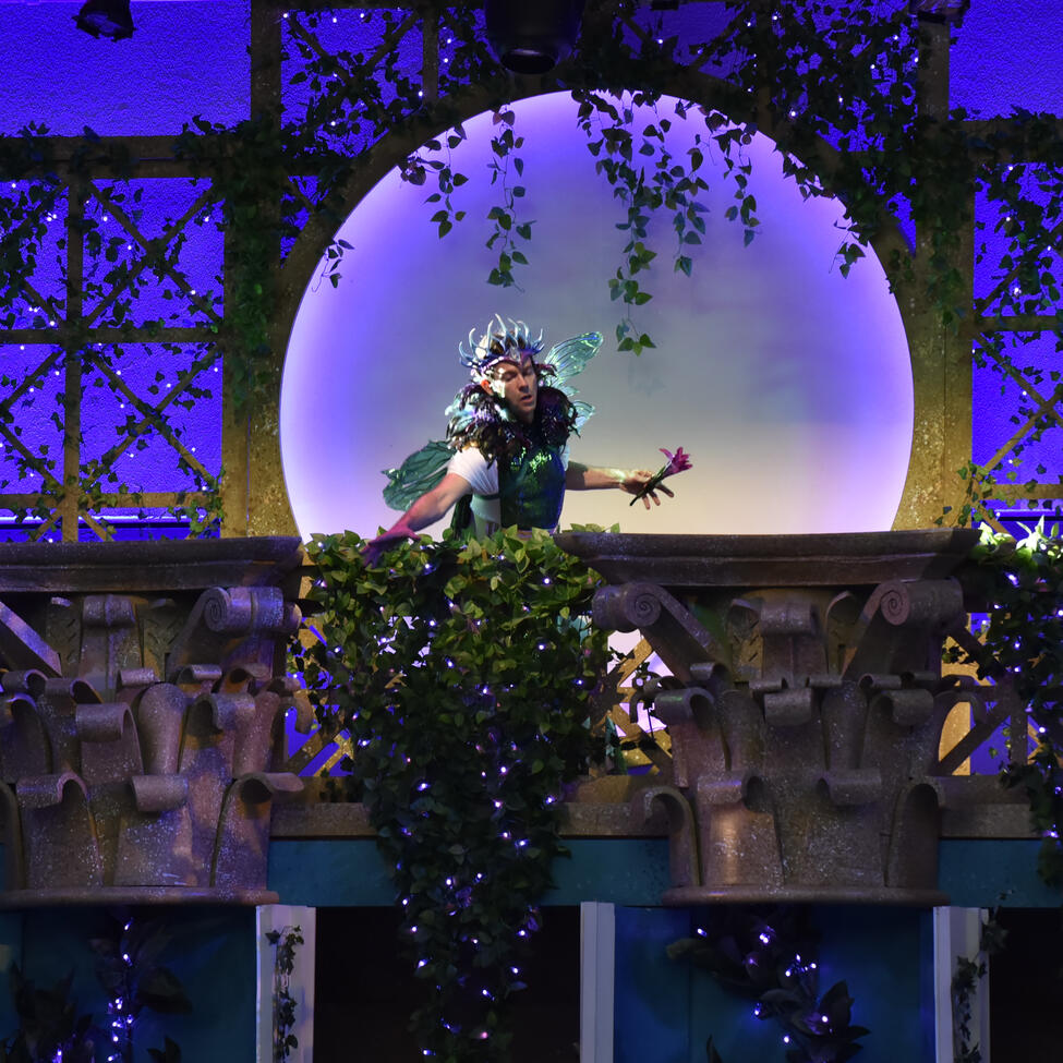 Midsummer Night's Dream